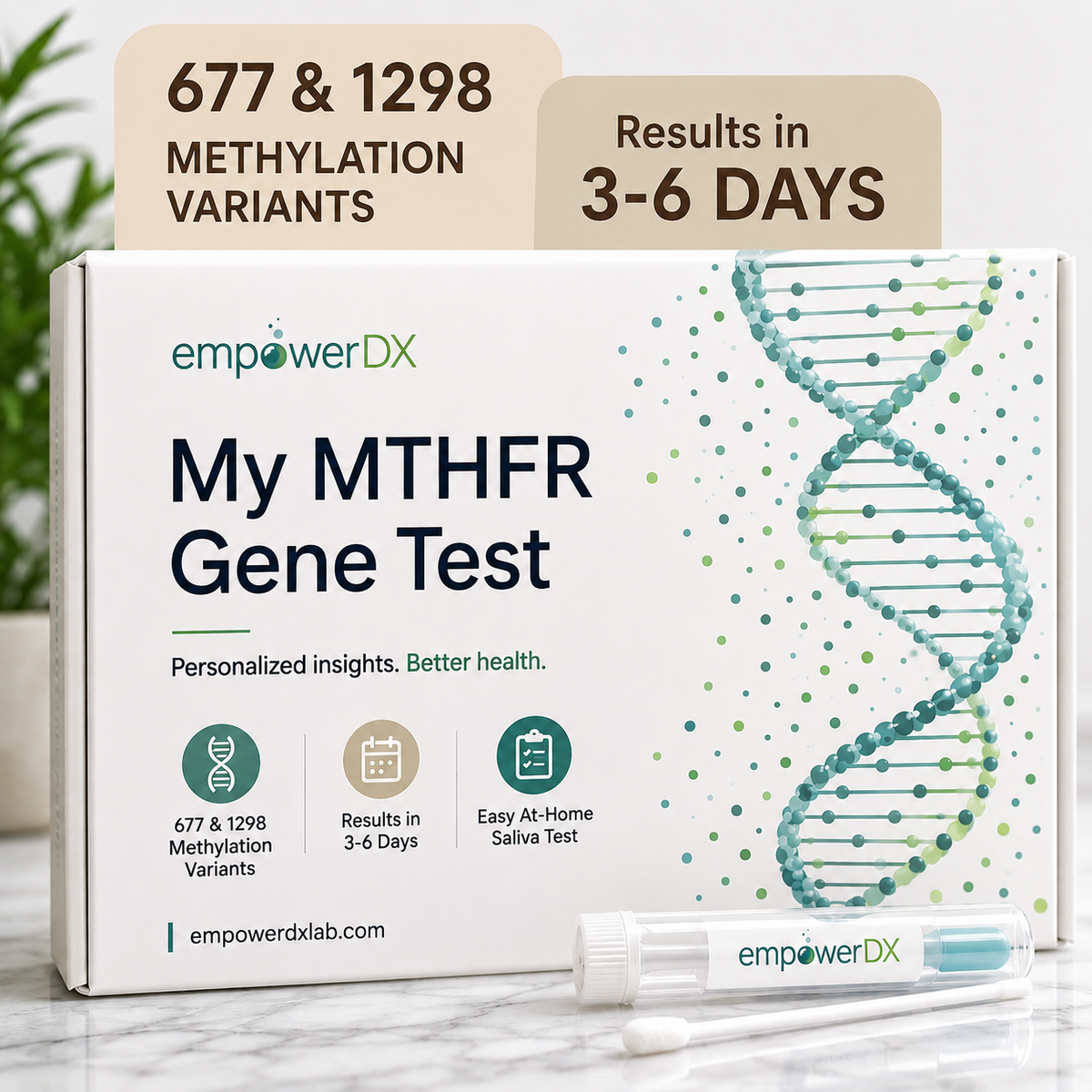 Genetic Methylation Test Kit